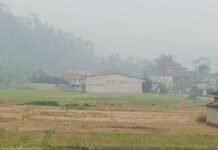 Kabut Asap Bau Belerang Menyengat Ancam Pernafasan, Pemkab Kerinci Diminta Stop Belajar Disekolah