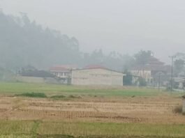 Kabut Asap Bau Belerang Menyengat Ancam Pernafasan, Pemkab Kerinci Diminta Stop Belajar Disekolah