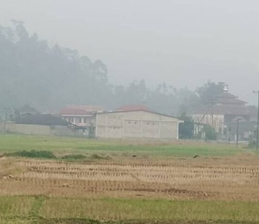 Kabut Asap Bau Belerang Menyengat Ancam Pernafasan, Pemkab Kerinci Diminta Stop Belajar Disekolah